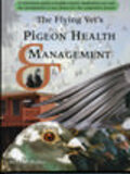 The Flying Vet's Pigeon Health Management