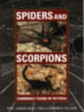 Spiders & Scorpions: Commonly found in Victoria